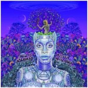 Erykah Badu - New Amerykah Part II (Return Of The Ankh)