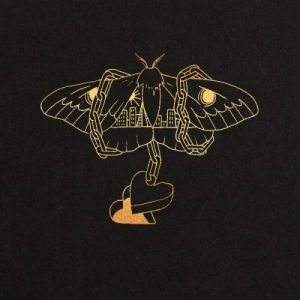 David Gray - Gold In A Brass Age (2019)