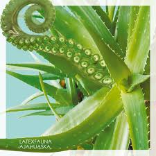 Latexfauna - AJAHUASKA SEASON 1 (Vinyl, LP)
