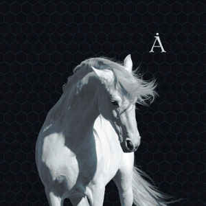 Аквариум – Лошадь Белая (2008) (digipak)