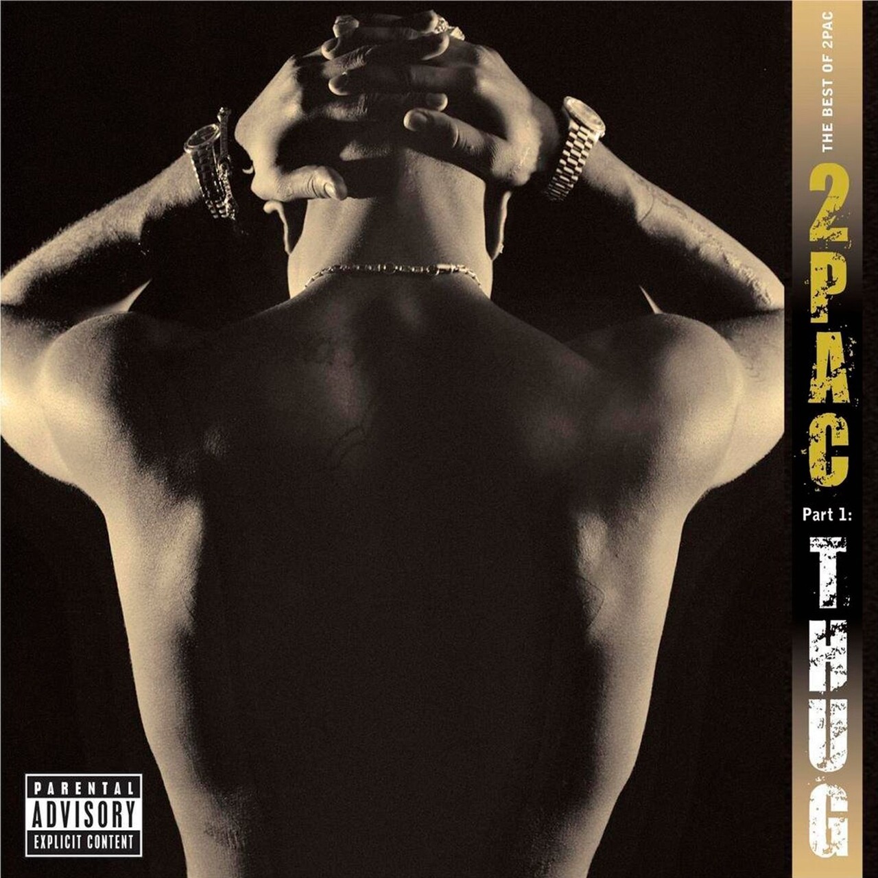 2Pac - The Best Of 2Pac - Part 1: Thug (2007) (digipak)